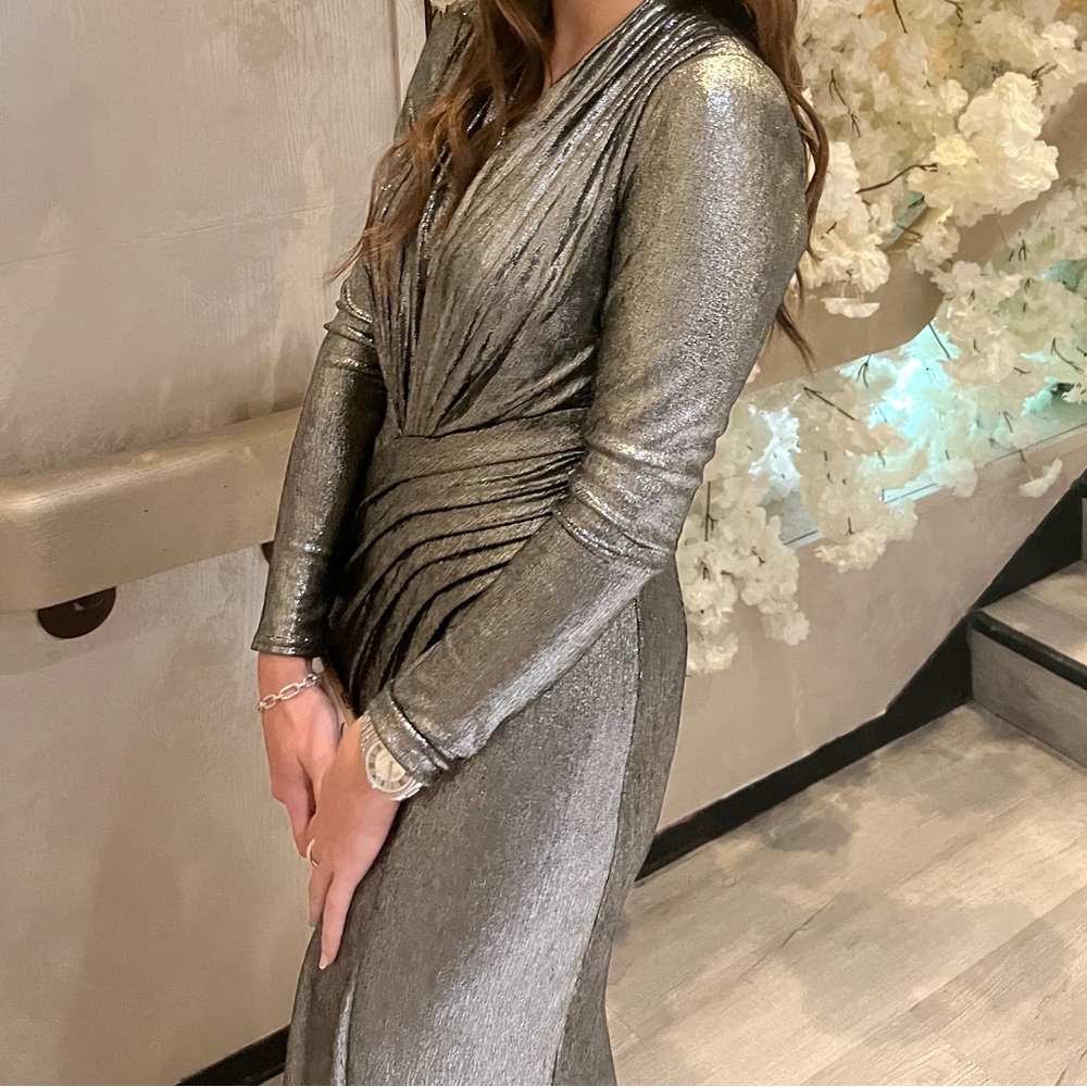 Silver Gown - Picture 2 of 5